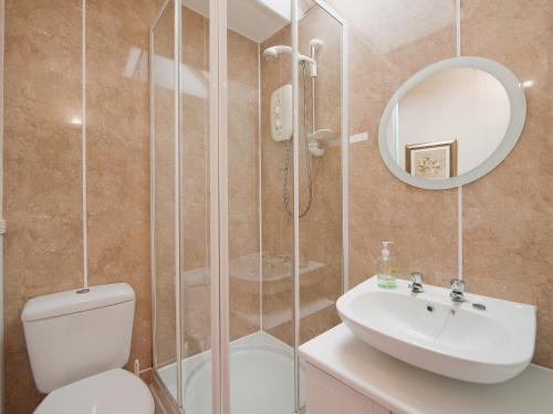 克罗索恩Holly Cottage的一间带卫生间、水槽和镜子的浴室