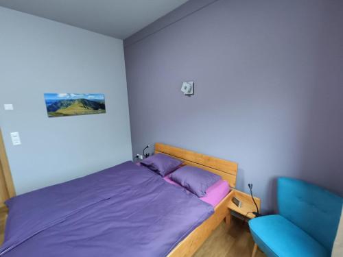 RüscheggGantrisch Lodge的一间卧室配有一张床和一张蓝色椅子
