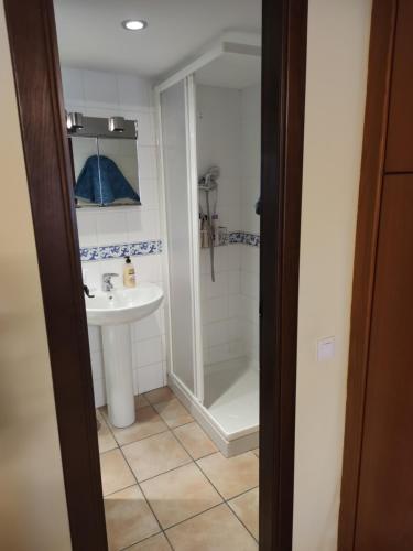 阿尔巴拉辛Apartamento Portal de Molina的一间带水槽和淋浴的浴室