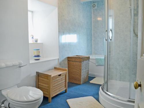LlandudwenNyffryn Bella的一间带卫生间和玻璃淋浴间的浴室