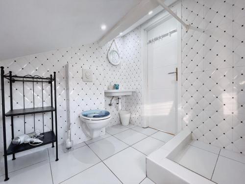诺维·维诺多尔斯基Apartments Zoričić的白色的浴室设有卫生间和淋浴。