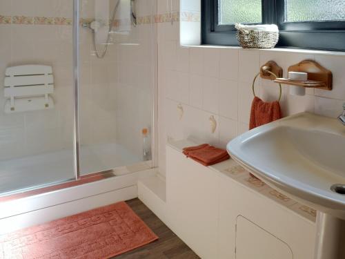 BeltonLeanda Lodge的白色的浴室设有水槽和淋浴。