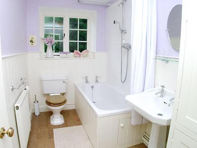 Loders苹果树乡村别墅的白色的浴室设有卫生间和水槽。