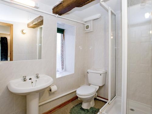 Dilham马尔特夏佛尔乡村别墅 的浴室配有卫生间、盥洗盆和淋浴。