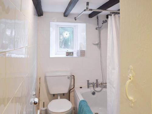 克兰诺格沃尔Dyserth的一间带卫生间和浴缸的浴室以及窗户。