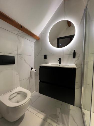 赞丹Boutique Hotel de Kade Zaandam-Amsterdam的一间带卫生间、水槽和镜子的浴室
