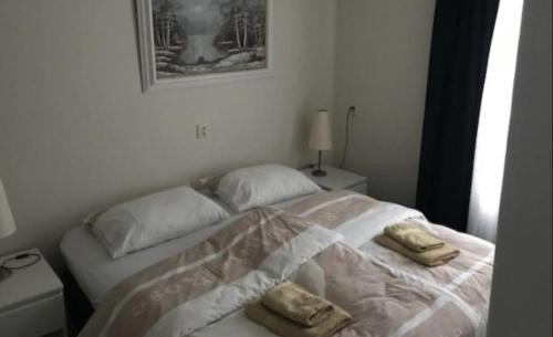 霍勒姆Onder de molen的一间卧室配有一张带两个枕头的床