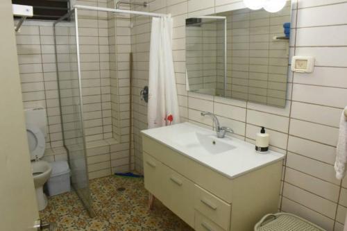 马格达拉Sounds Suite for families的一间带水槽、淋浴和卫生间的浴室