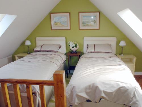 CilycwmPant Y Bryn Bach的阁楼间设有两张床铺和绿色的墙壁
