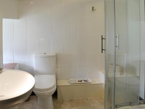 Holcombe BurnellHoneysuckle Cottage - 29938的白色的浴室设有卫生间和淋浴。