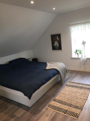 灵斯泰兹VV Apartments 50的一间卧室设有床、窗户和地毯。