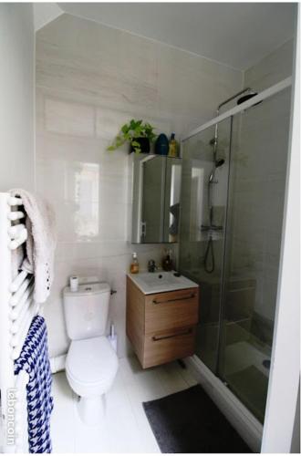 迪耶普Chez Samuel à Dieppe的浴室配有卫生间、淋浴和盥洗盆。