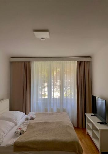 维也纳Apartment Wien Mitte的一间卧室设有一张床、一台电视和一个窗口。