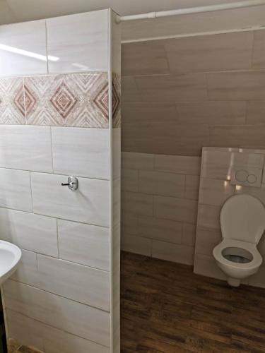 帕索尔维基Penzion a vinný sklípek Mušov的一间带卫生间和水槽的浴室