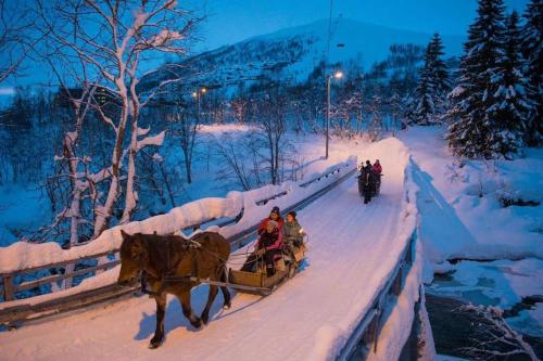 赫尔甘屯Large and luxurious family cabin in Myrkdalen的一群人骑着马车在雪地里骑着