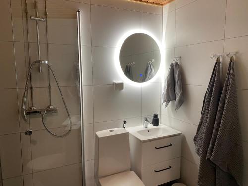 图苏拉Tammikon Tupa的带淋浴、盥洗盆和镜子的浴室