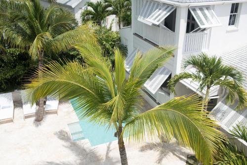 哈勃岛Conch Shell Harbour Island home的建筑物旁棕榈树的上方景色