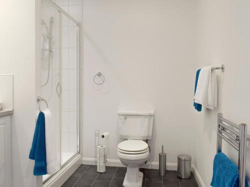 HaptonBarley Heights的白色的浴室设有卫生间和淋浴。