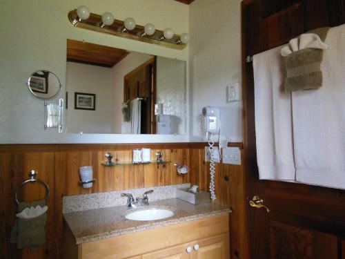 克利尔沃特蓝色格鲁斯乡村民宿的一间带水槽和大镜子的浴室