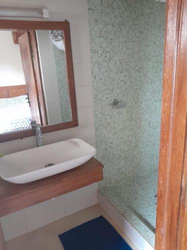 萨利波图尔La chambre diambar的一间带水槽和镜子的浴室