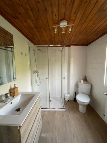 索尔波Casa de Labranza Naz的带淋浴、卫生间和盥洗盆的浴室