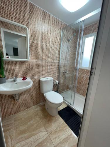 拉哈雷斯Apartamentos Elena的浴室配有卫生间、淋浴和盥洗盆。