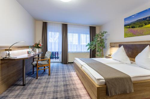 霍恩斯泰因Hotel Zur Aussicht的配有一张床和一张书桌的酒店客房