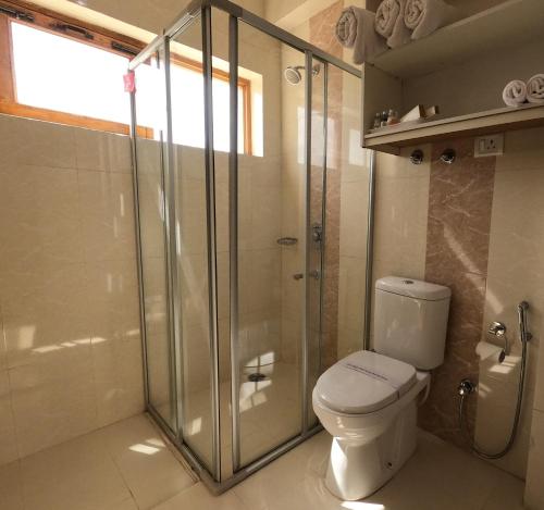 列城Gomang Boutique Hotel的一间带卫生间和玻璃淋浴间的浴室