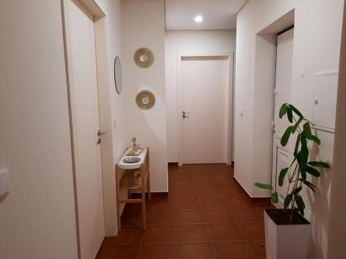 蓬德利马Casa da Dina的走廊上设有带水槽和植物的浴室