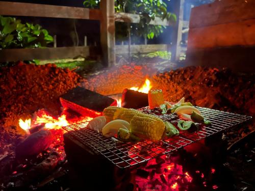 Phumĭ Pu PalLa Villa Hortensia-Mondulkiri的火上加一些食物的烧烤