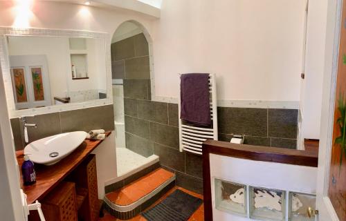 穆斯捷-圣玛丽Le Logis des Cascades1的一间带水槽和镜子的浴室