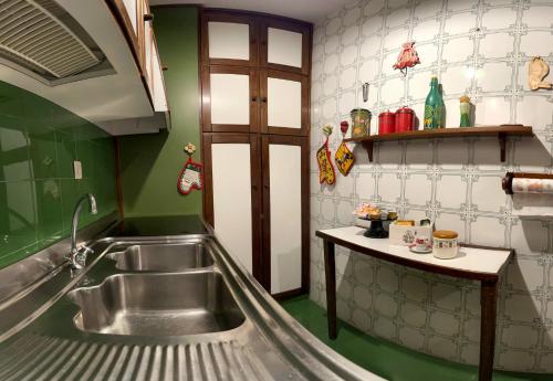 泰尔米尼洛La tana della lepre的厨房设有不锈钢水槽和绿色的墙壁