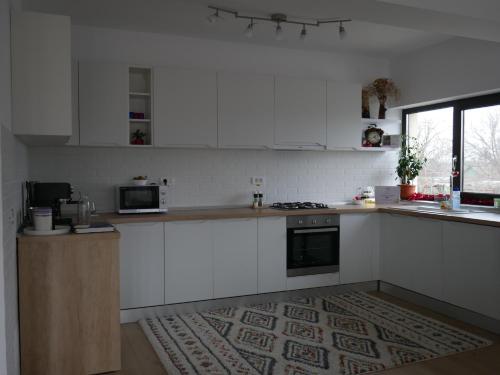 NiculiţelPensiunea Valentina的厨房配有白色橱柜和炉灶烤箱。