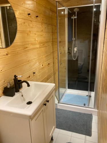 多尔恩Berghut的一间带水槽和淋浴的浴室