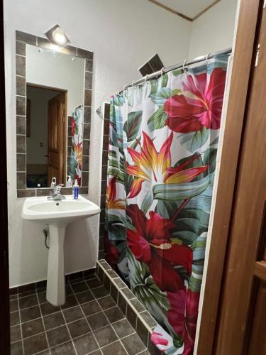 奎波斯城Puesta del Sol的一间带水槽和花卉淋浴帘的浴室