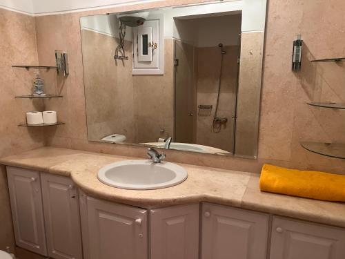 赫尔格达South Marina Apartment Wi-Fi available的浴室的柜台设有水槽和镜子