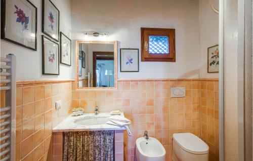 蒙米奥La Piana的一间带水槽、卫生间和镜子的浴室