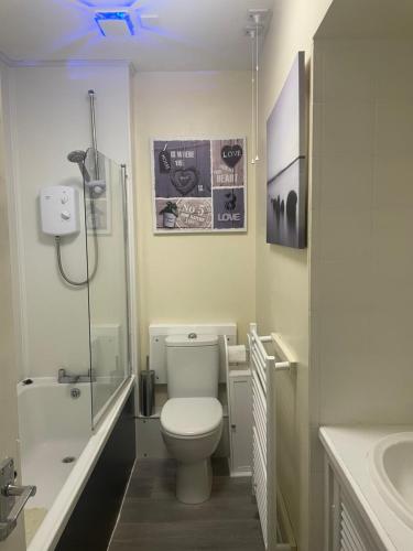 洛哈尔什教区凯尔高地Hector's Bothy flat的浴室配有卫生间、淋浴和盥洗盆。