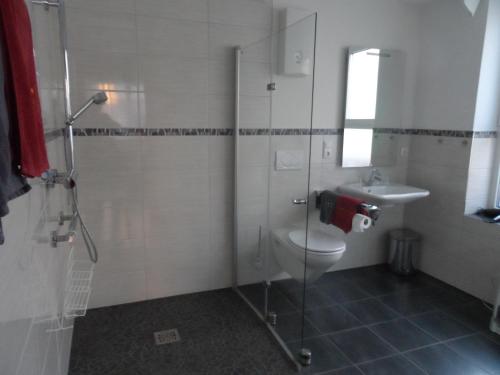 特里滕海姆阿尔方与玛丽安艾弗尔民宿的浴室配有卫生间、淋浴和盥洗盆。