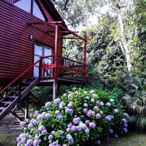 蒂格雷Albaricoque的一座红色的房子,旁边是一束鲜花,有楼梯