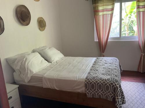 巴斯蒂门多斯Pretty house Bastimentos Bocas del toro的一间卧室配有一张带白色床单的床和一扇窗户。