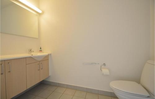 EmmerlevNice Home In Hjer With Kitchen的一间带卫生间、水槽和镜子的浴室