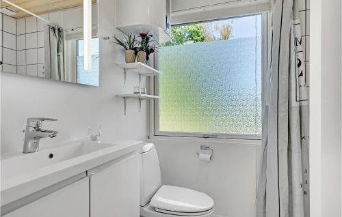 ØksenmølleStunning Home In Ebeltoft With Kitchen的一间带卫生间、水槽和窗户的浴室