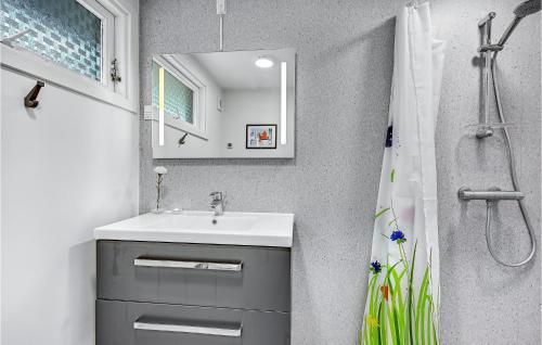 埃格斯科夫Beautiful Home In Brkop With 3 Bedrooms And Wifi的一间带水槽和镜子的浴室