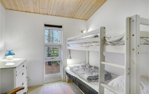 盖瑟Stunning Home In Gedser With Wifi的一间卧室设有两张双层床和一扇窗户。