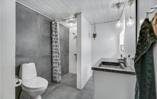 锡尔克堡Cozy Home In Silkeborg With Kitchen的浴室配有卫生间、盥洗盆和淋浴。