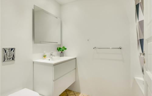 赫尔辛格Beautiful Apartment In Helsingr With Wifi的白色的浴室设有水槽和镜子