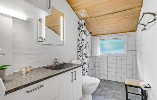博利尔马克Nice Home In Rm With 3 Bedrooms And Wifi的一间带卫生间、水槽和窗户的浴室