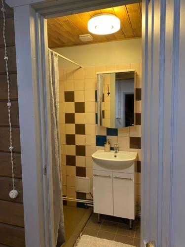 CesvaineDzirnavkalns的一间带水槽和镜子的浴室
