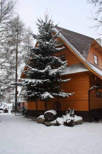 Białka TatrzanskaAgroturystyka u Marii的房子前的雪覆盖的圣诞树